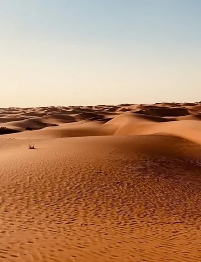 Dunes backdrop